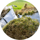 Green Garden Waste Img